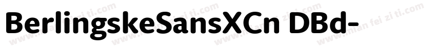 BerlingskeSansXCn DBd字体转换